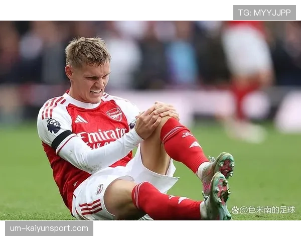 厄德高是否仅在特定战术体系中才能发挥核心作用